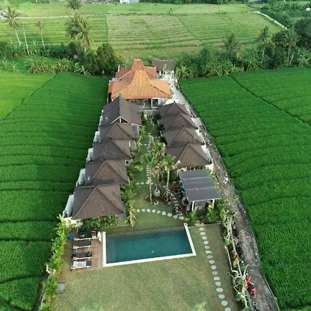 Villa Alisha