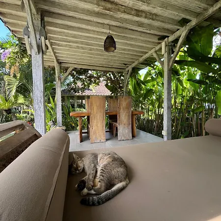 Villa Alisha